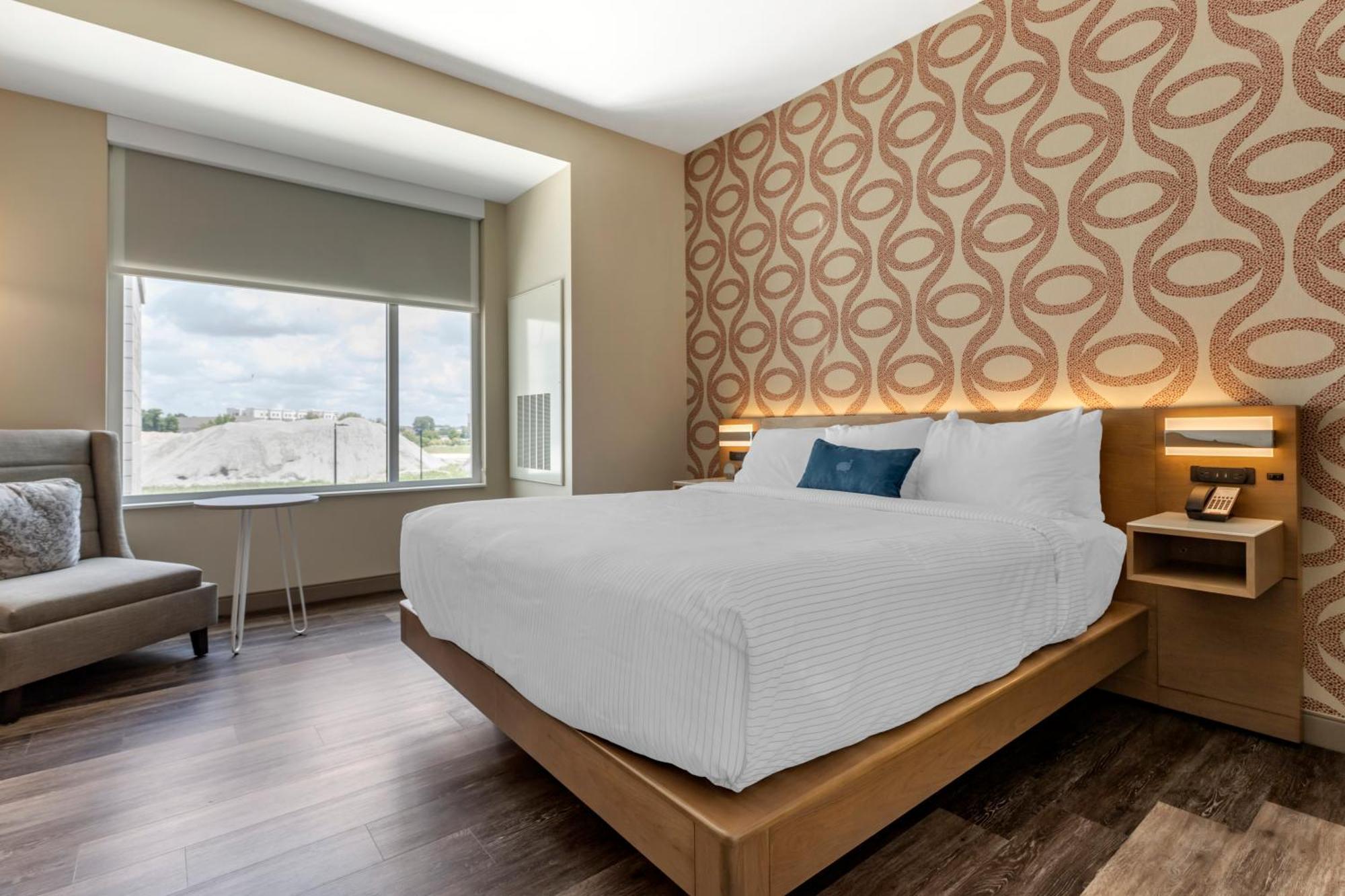 King Room,1687553427:JPEG
